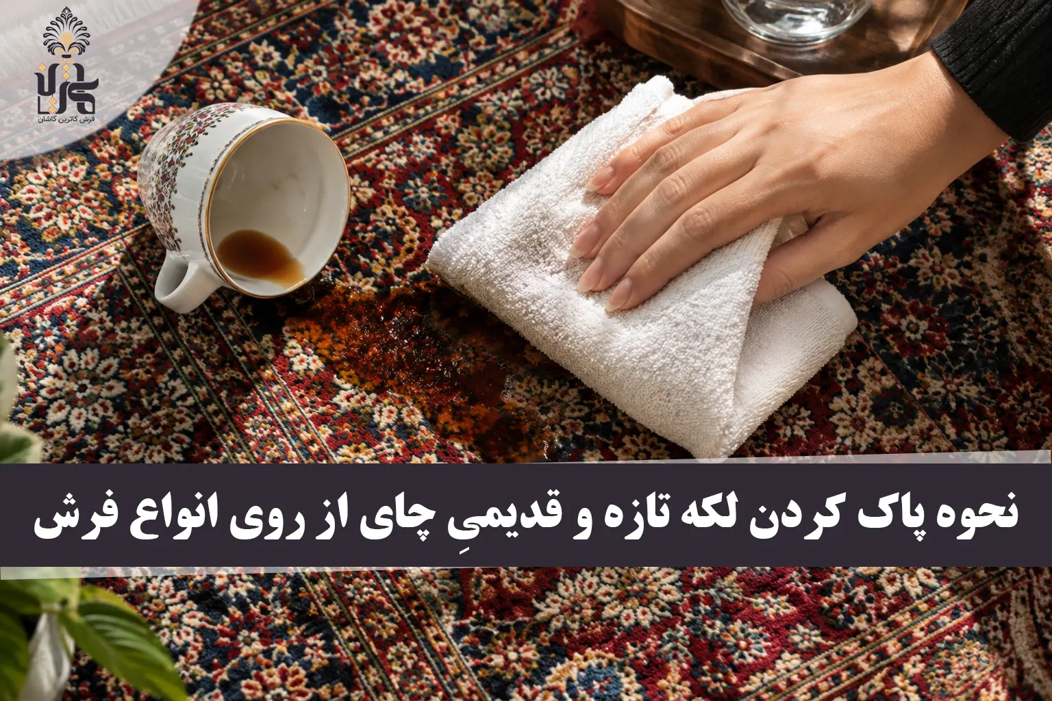پاک کردن لکه چای از روی فرش در ۳ دقیقه [آموزش قطعی + ترفندها]